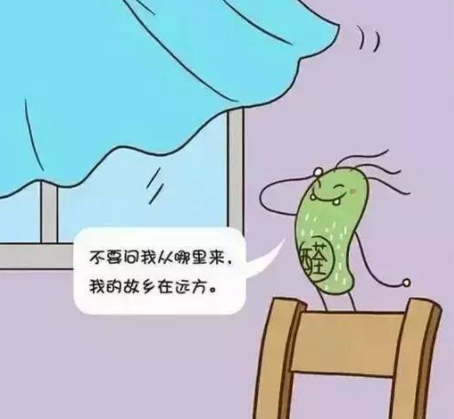 房间晾久了,甲醛就没了吗