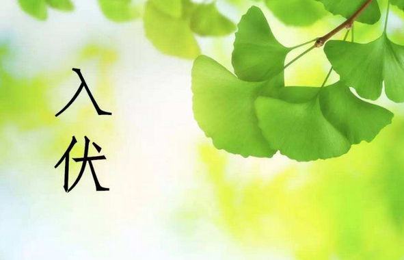 伏天甲醛污染重